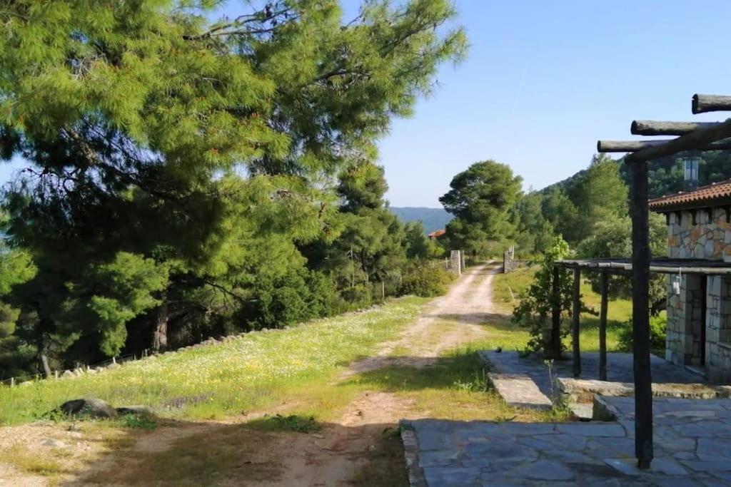 Wood & Stone Dream View House A Vakantiehuis Diaporos